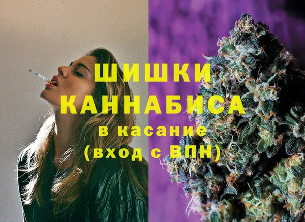 шишки Лагань