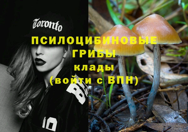 соль ск Нижний Тагил