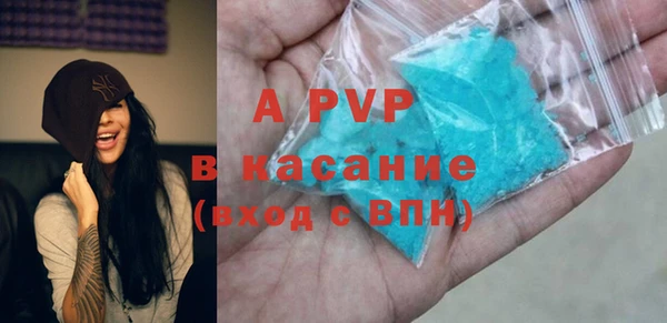 PSILOCYBIN Лабытнанги