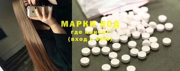 PSILOCYBIN Лабытнанги