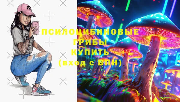 PSILOCYBIN Лабытнанги