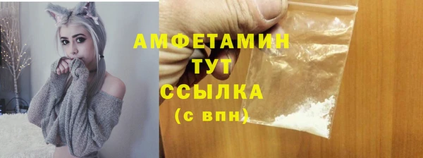 PSILOCYBIN Лабытнанги