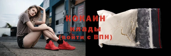 шишки Лагань